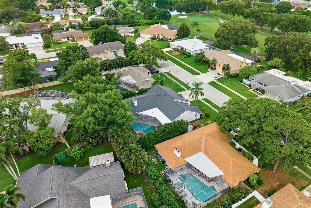 3175 Sandy Ridge Drive Clearwater, FL 33761 - Photo 61 of 69