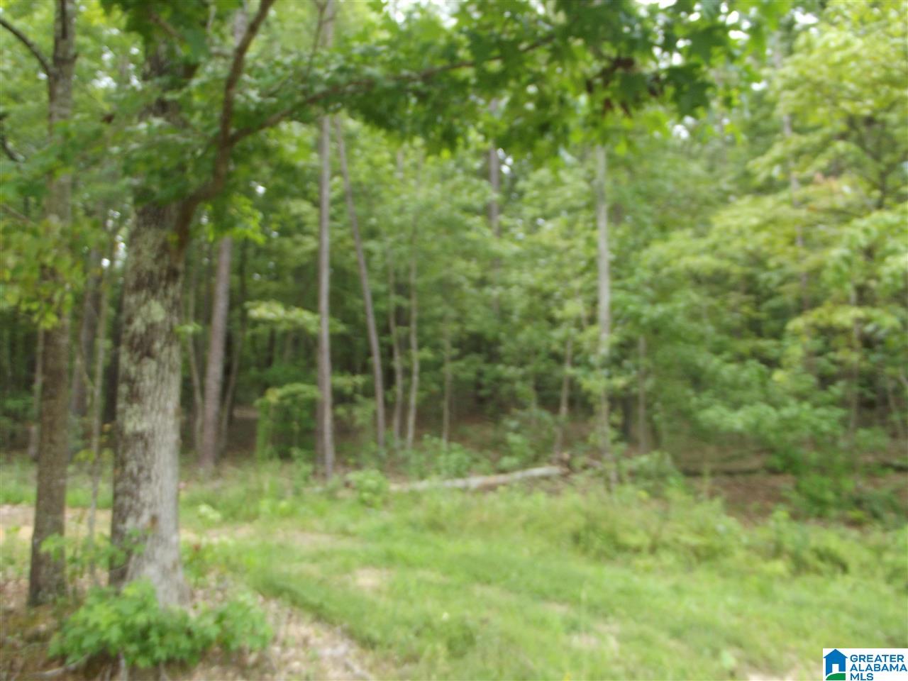 282 Highway 69, Unit 9 Chelsea, AL 35043 - Photo 1 of 7