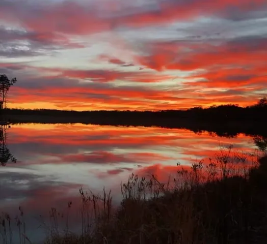 $394,999 | 64 Hemlock Cove, Tracy City, TN 37387