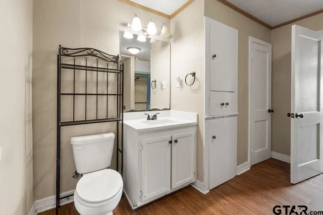 a bathroom with a toilet a sink and a mirror