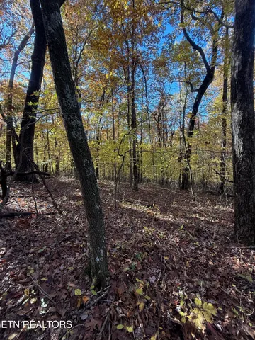 $70,000 | Lot 29 Crest Road, Monterey, TN 38574
