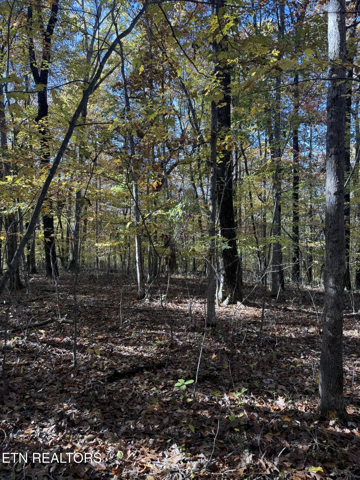 Lot 29 Crest Road Monterey, TN 38574 - Photo 2 of 3 IMG_7052