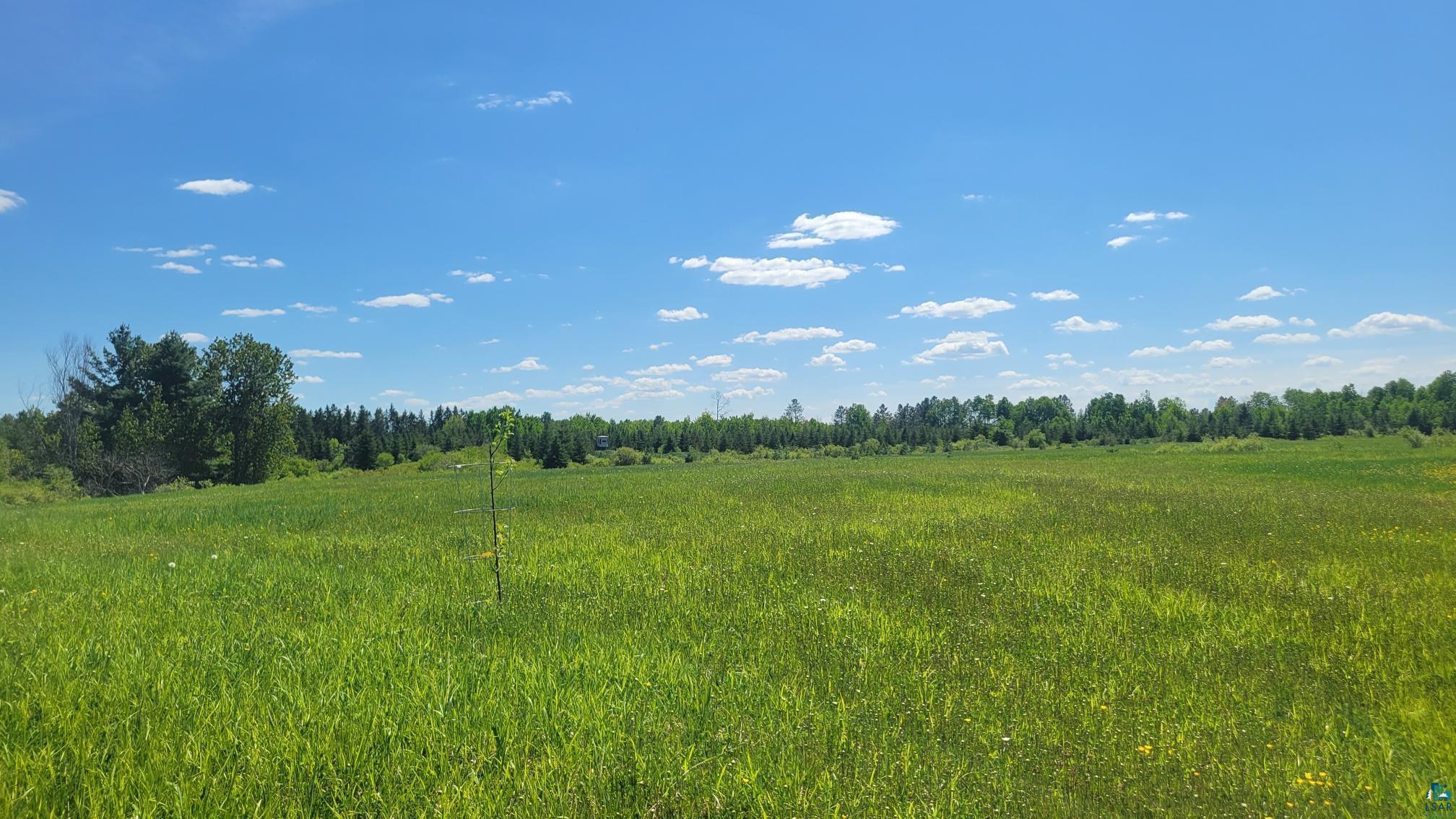 63909 D Santama Road Ashland, WI 54806 - Photo 5 of 17