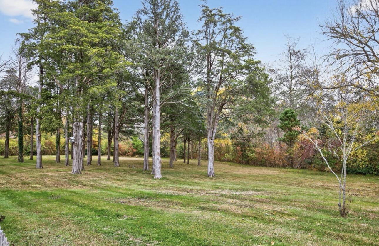 19 Whig Street Dennis, MA 02638 - Photo 7 of 42 IMG_1210