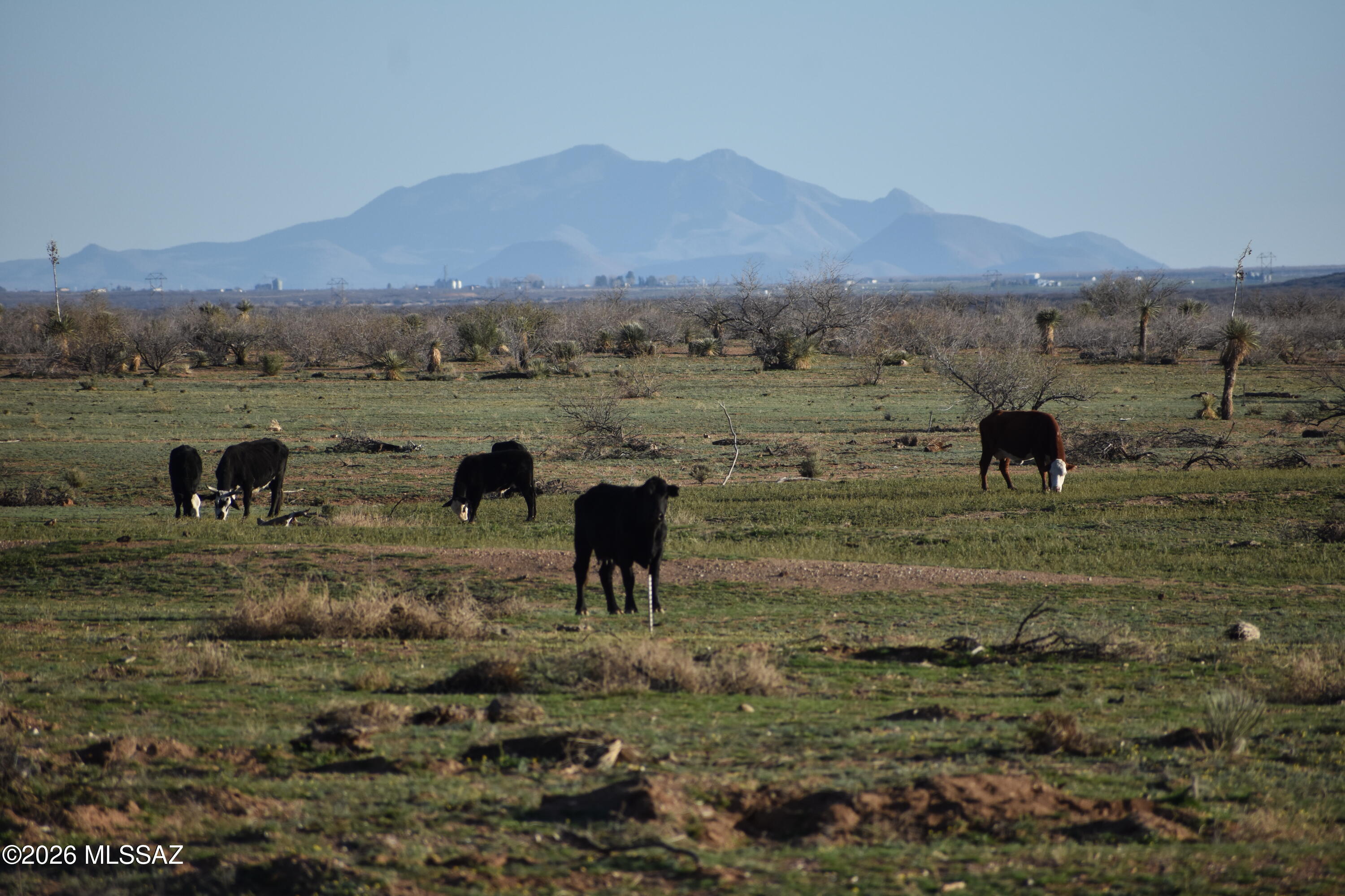East Howling Wolf Road Willcox, AZ 85643 - Photo 45 of 49