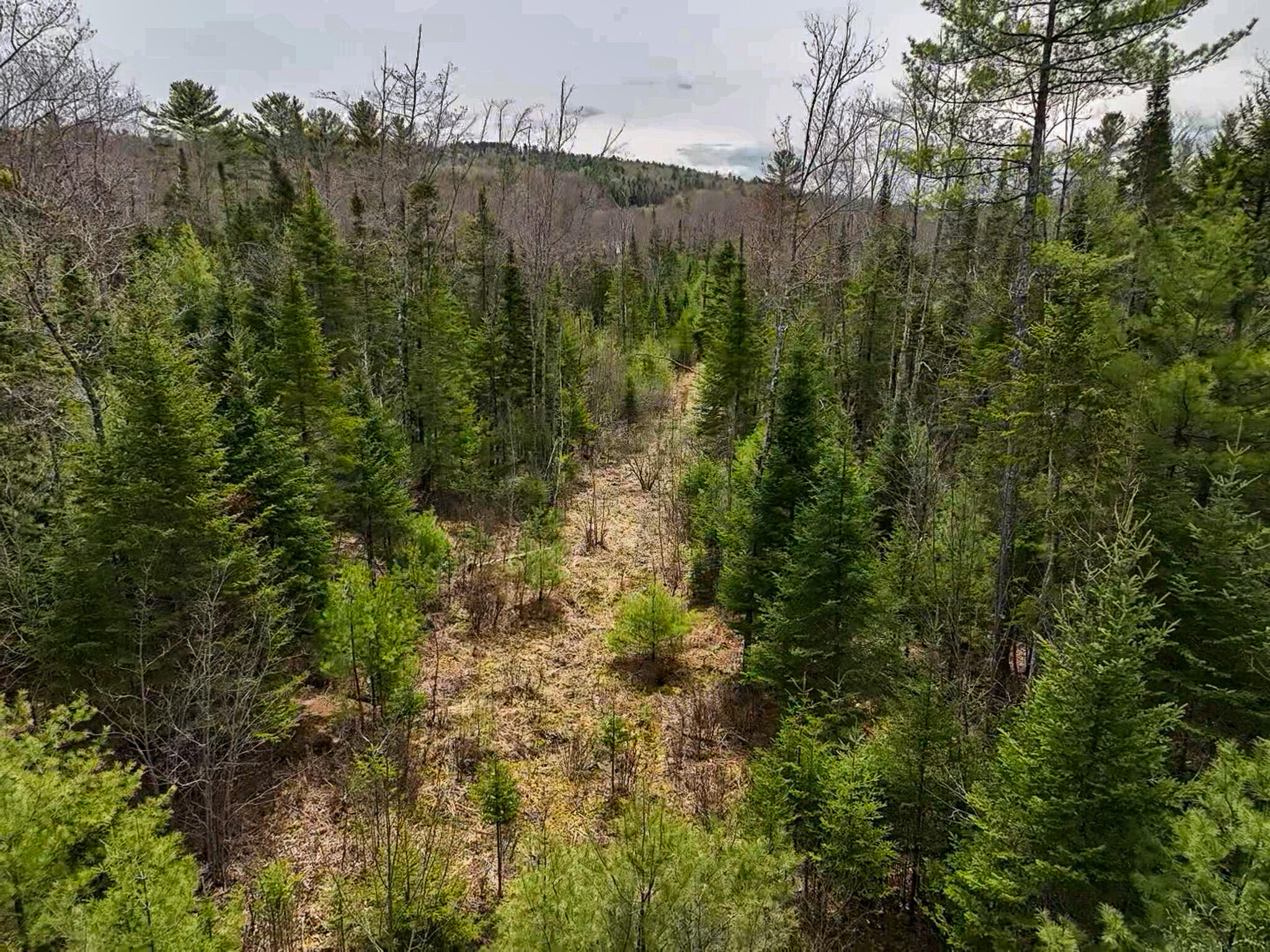 0 West Side Road Dixfield, ME 04224 - Photo 7 of 10 2026-05-09-11-44-48-791
