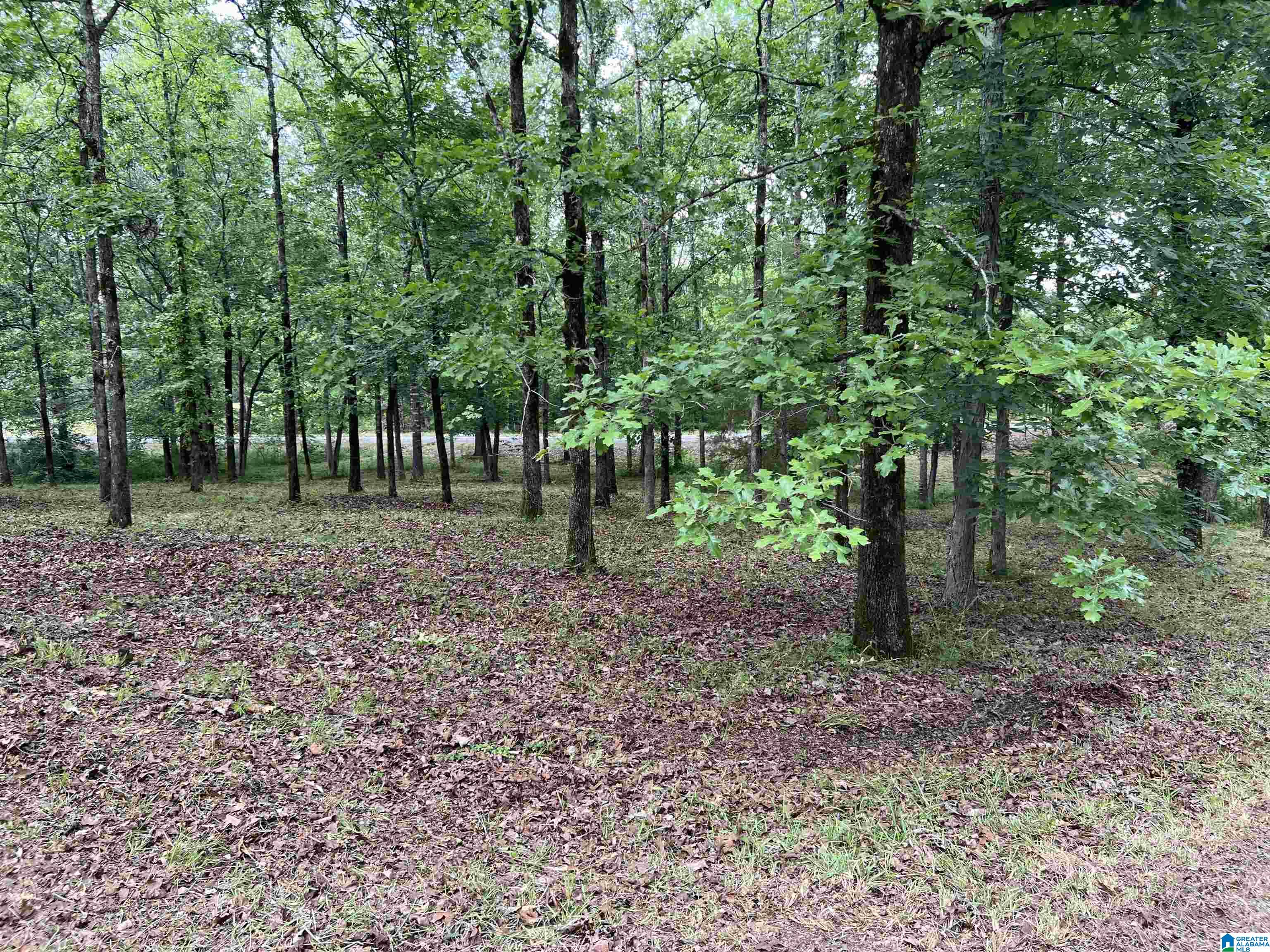 330 Mitchellville Road Ohatchee, AL 36271 - Photo 9 of 10