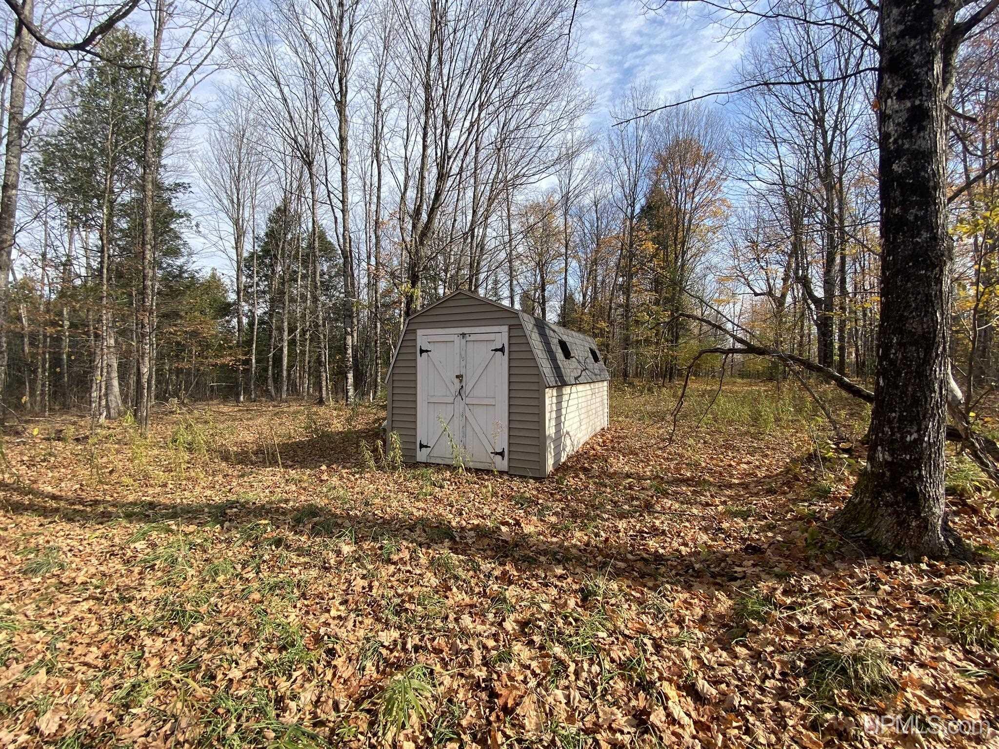 Tbd Tbd Off County Road Cornell, MI 49818 - Photo 3 of 21