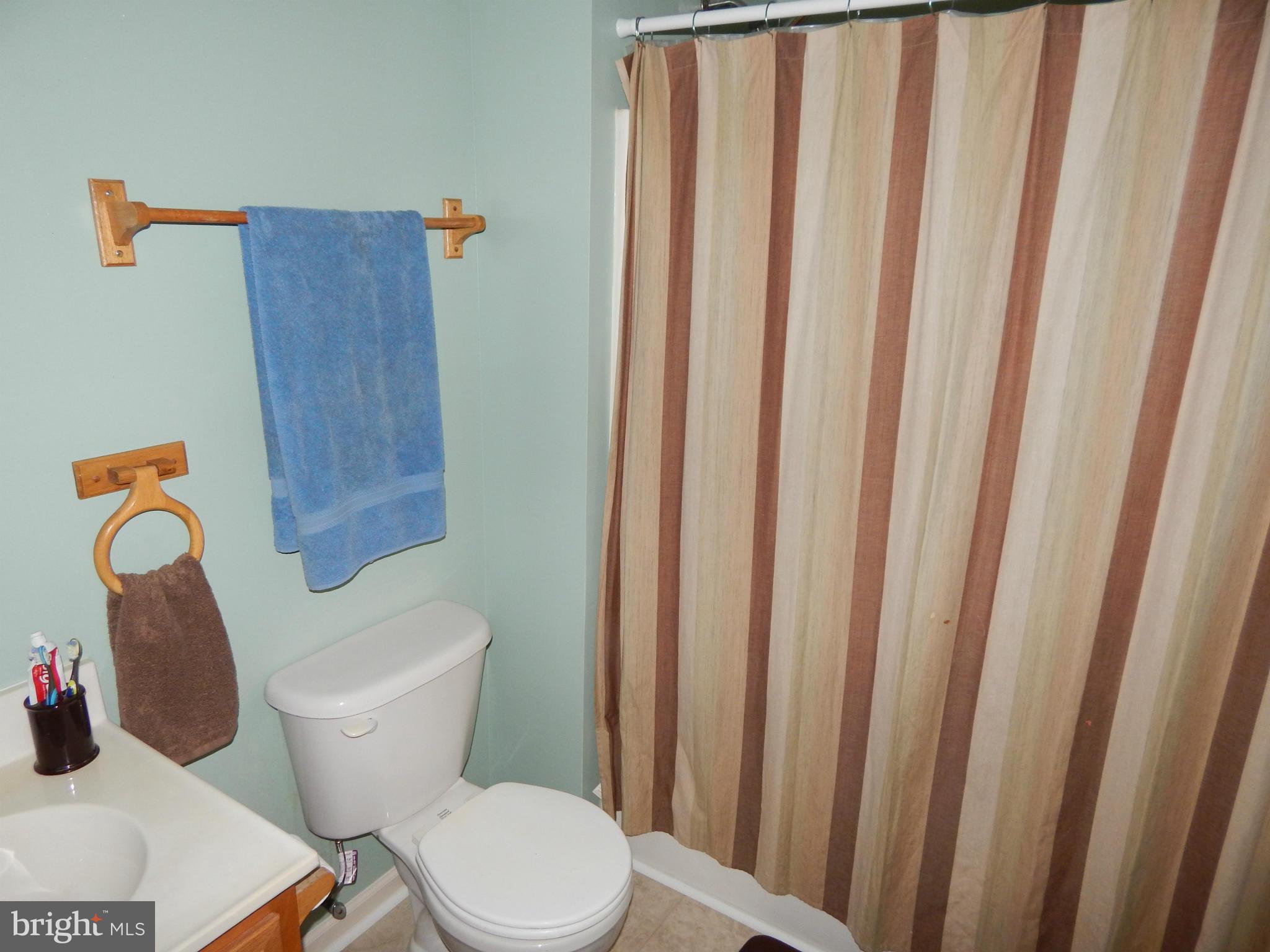 118 Michelle Drive Ranson, WV 25438 - Photo 5 of 25 Bath (Master)