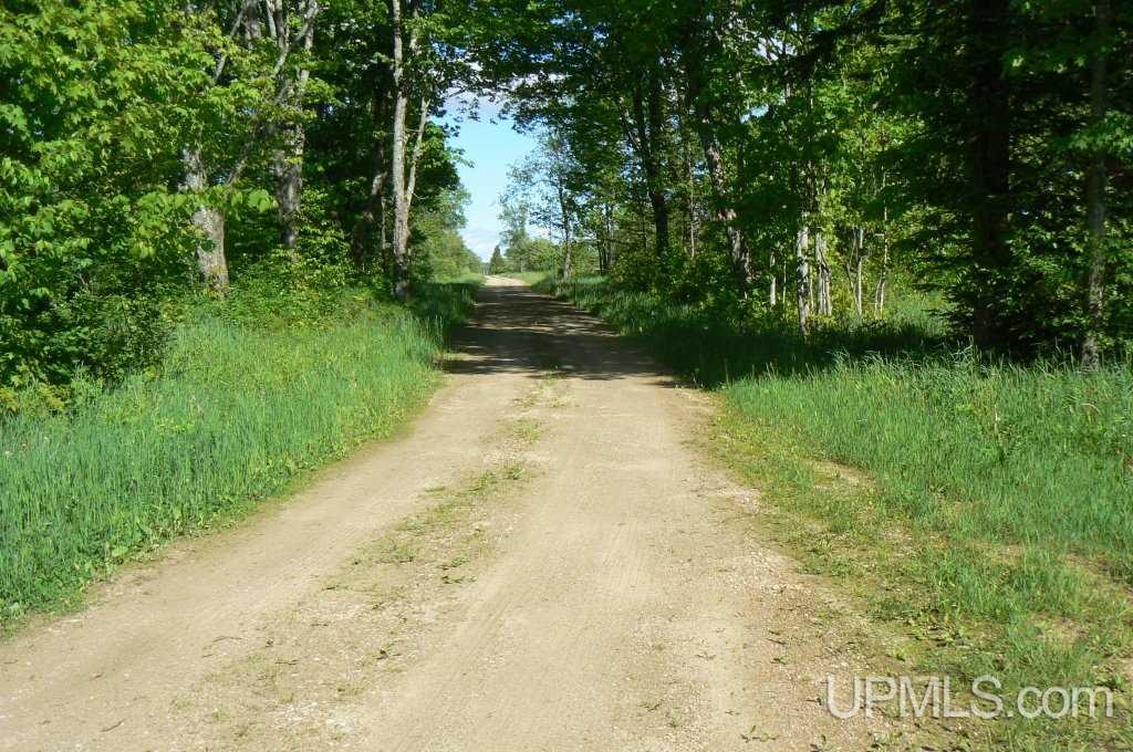 Tbd North Samuelson Road Chatham, MI 49816 - Photo 4 of 10