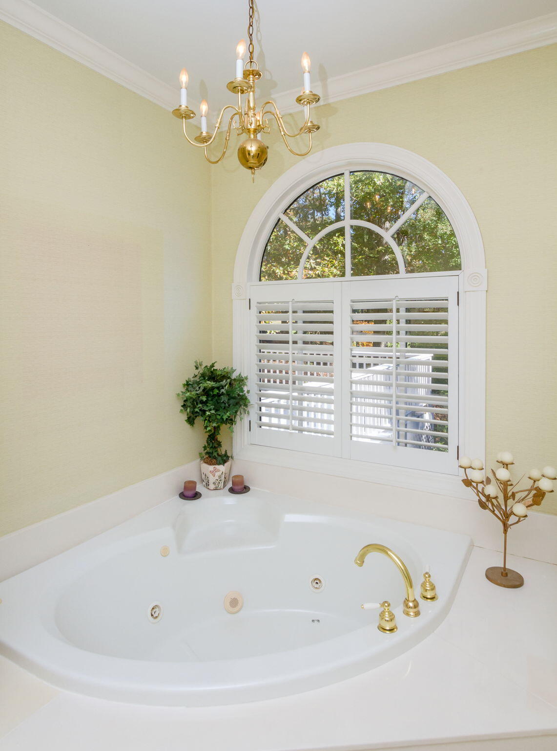 124 Sugarberry Road Aiken, SC 29803 - Photo 34 of 62