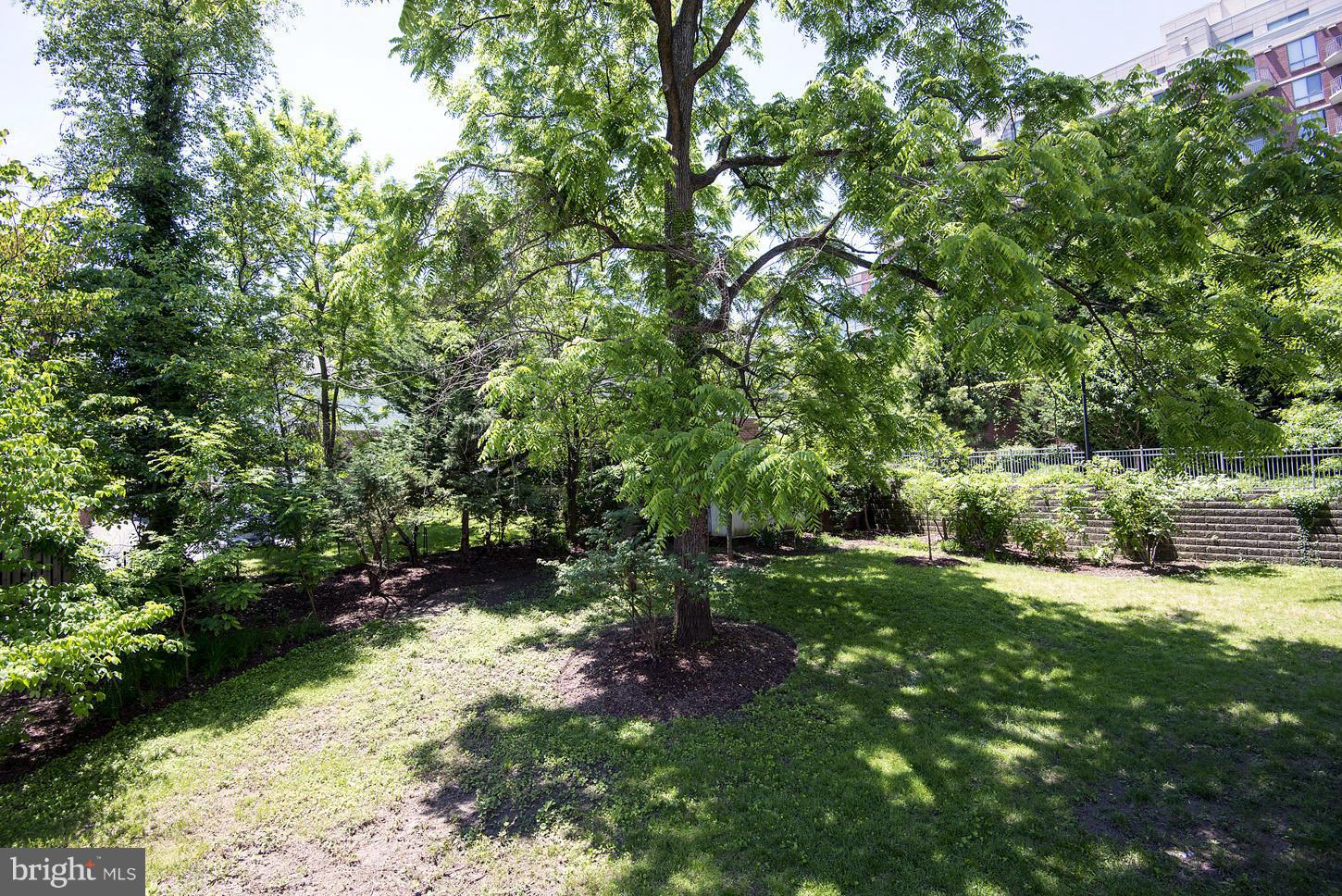 4616 Sleaford Road Bethesda, MD 20814 - Photo 28 of 30 Exterior (Rear)