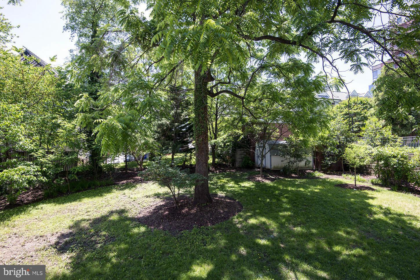 4616 Sleaford Road Bethesda, MD 20814 - Photo 29 of 30 Exterior (Rear)
