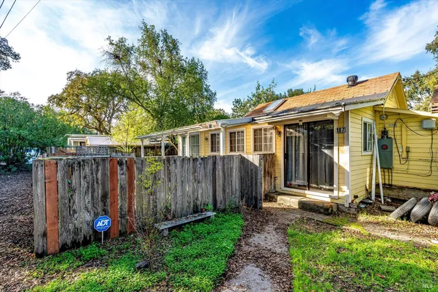 a view of a backyard with potted plants and a large tree