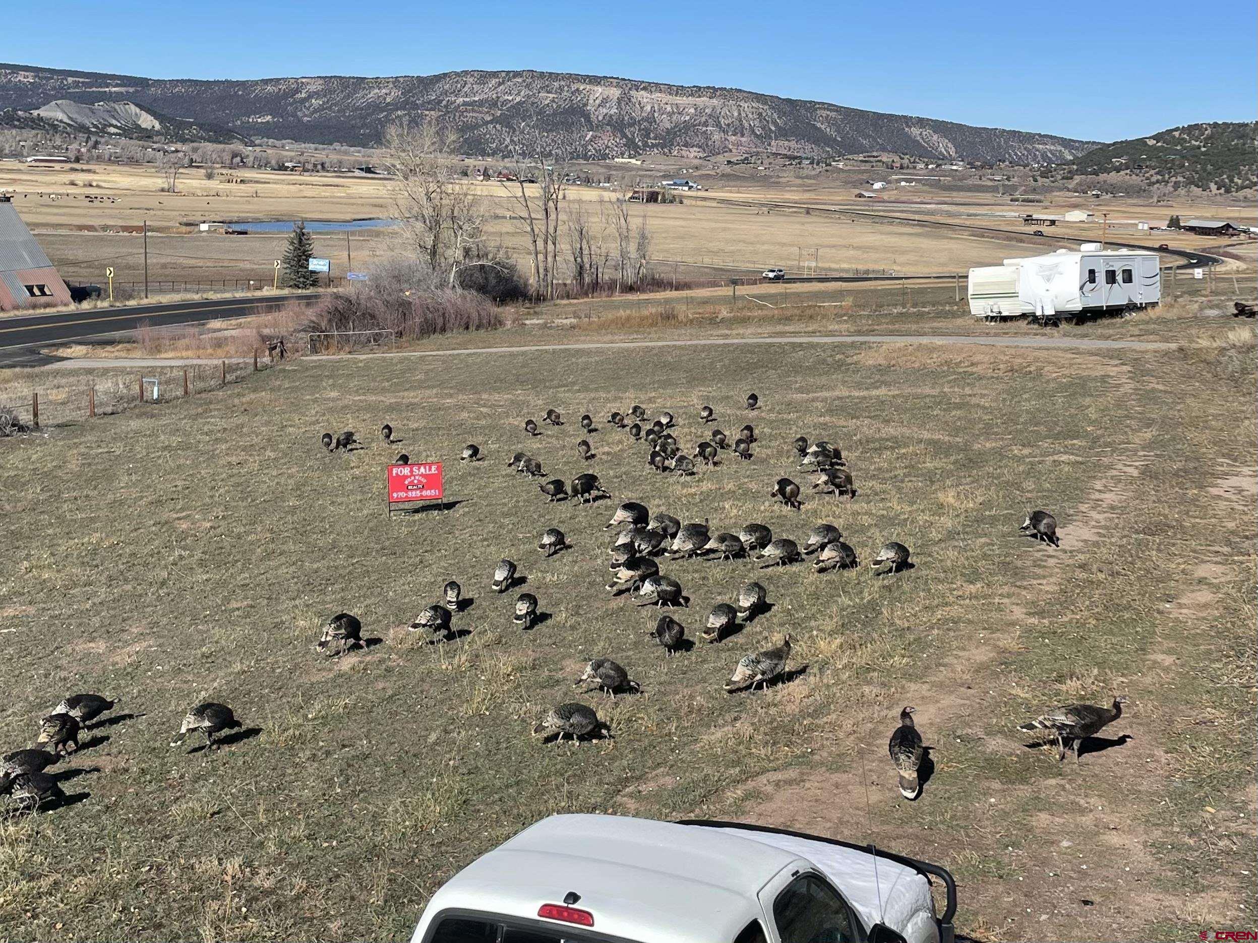 21430 Highway 550 Ridgway, CO 81432 - Photo 28 of 35