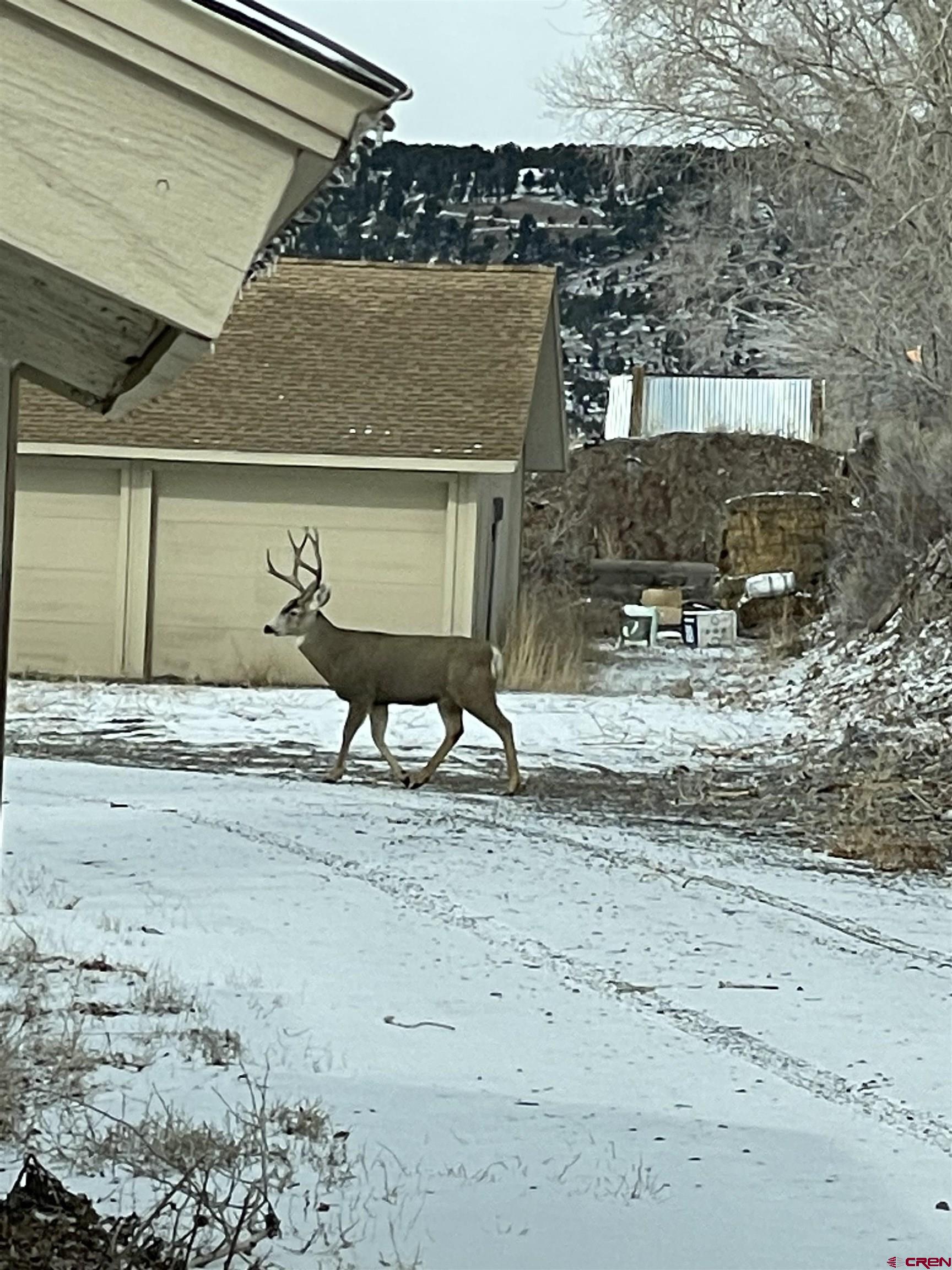 21430 Highway 550 Ridgway, CO 81432 - Photo 29 of 35 a view of a backyard of a house