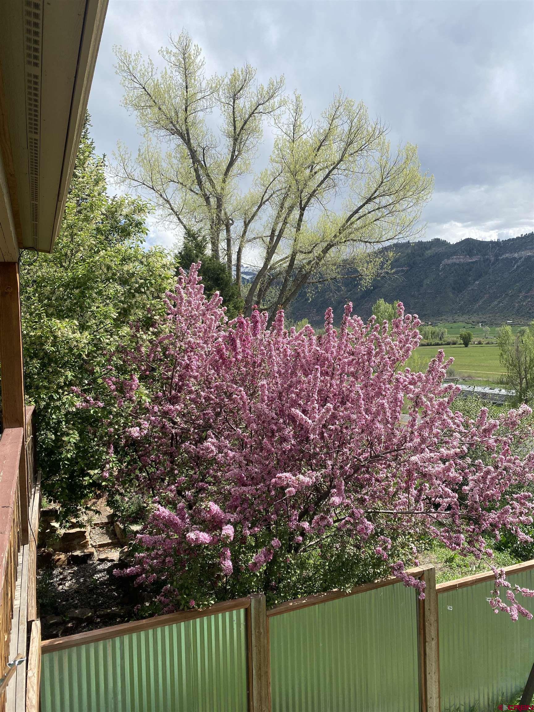 21430 Highway 550 Ridgway, CO 81432 - Photo 3 of 35