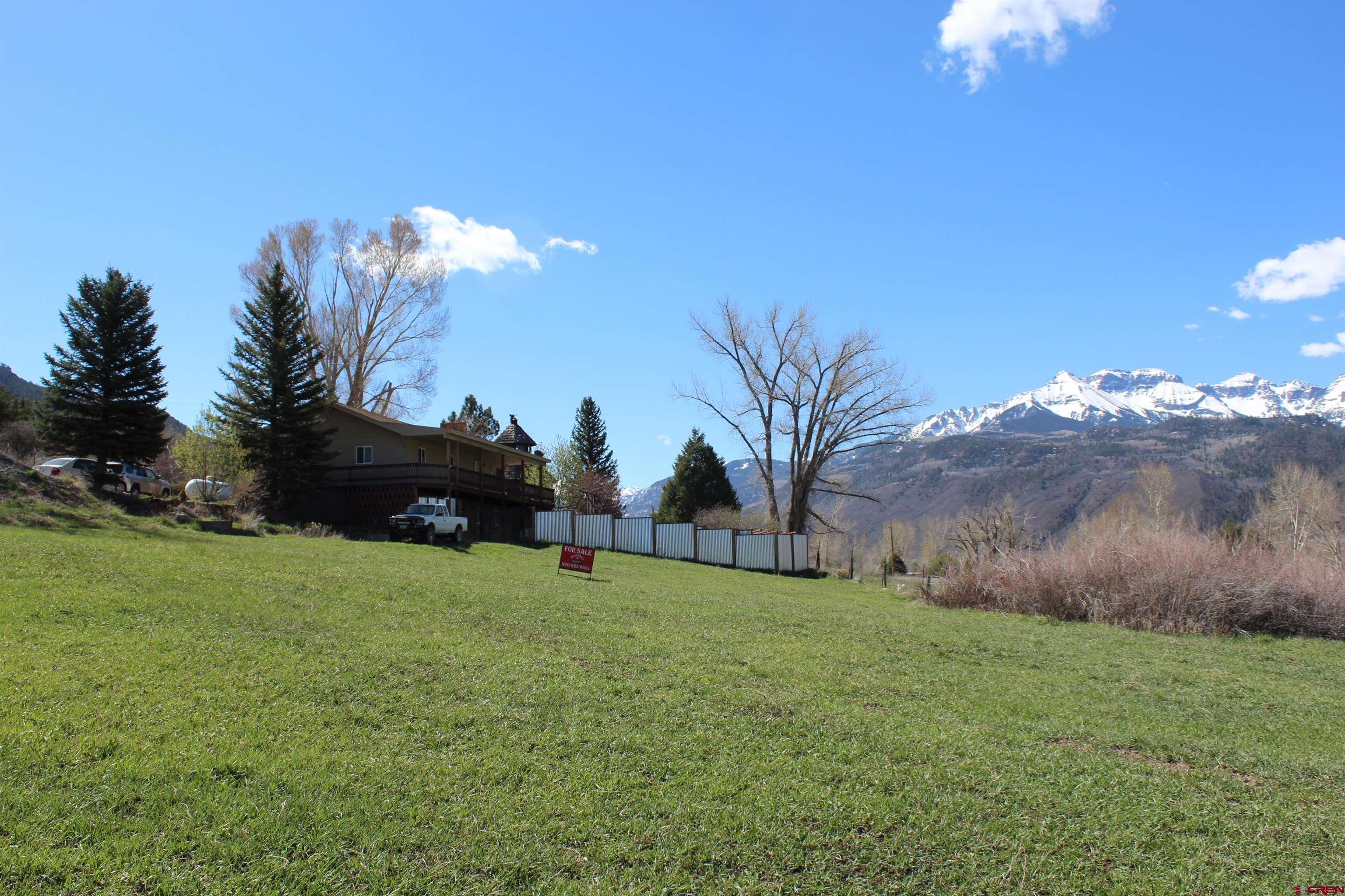 21430 Highway 550 Ridgway, CO 81432 - Photo 35 of 35 a view of a yard with an tree