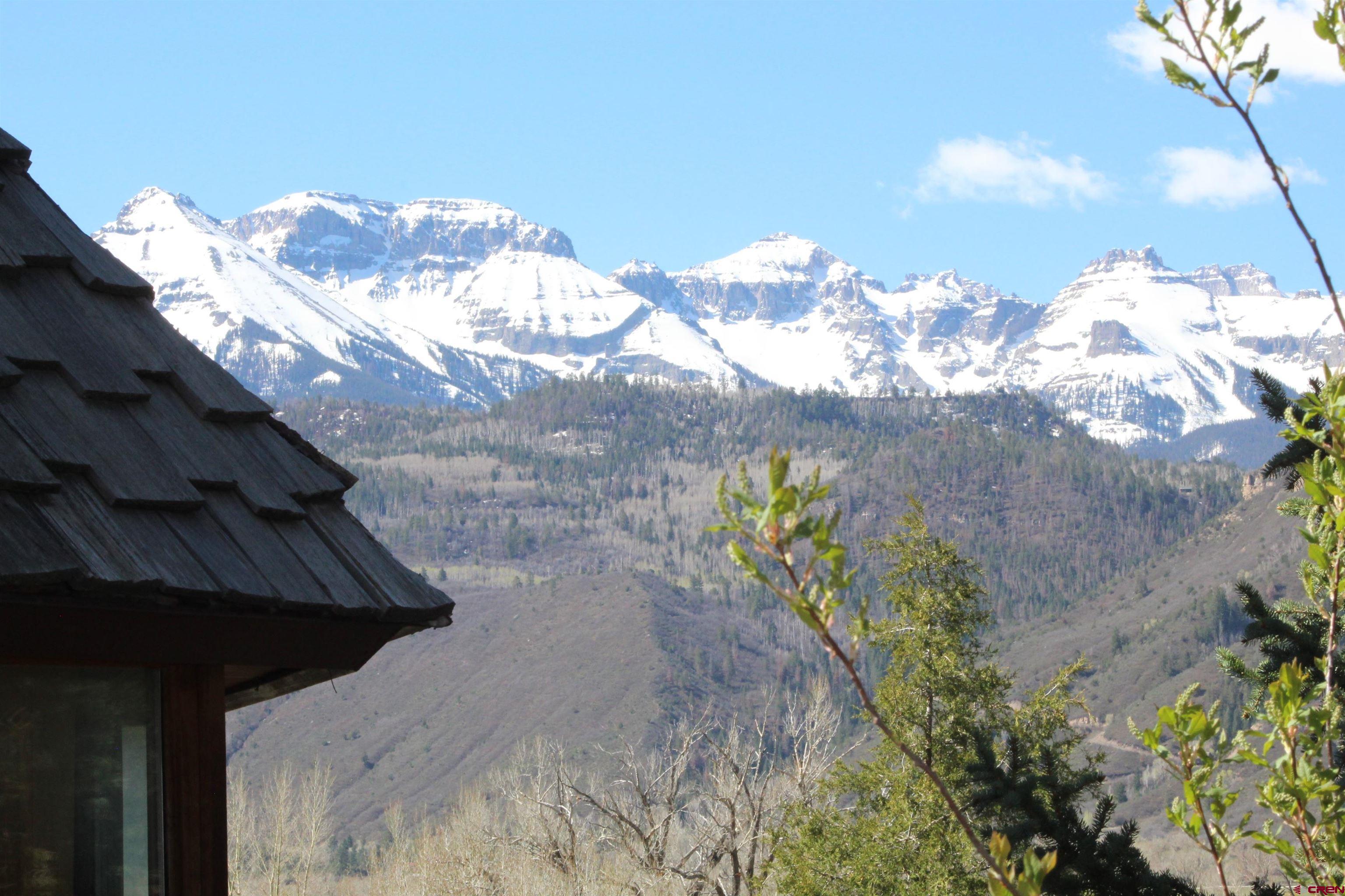 21430 Highway 550 Ridgway, CO 81432 - Photo 6 of 35 a vase of flowers sitting on a table