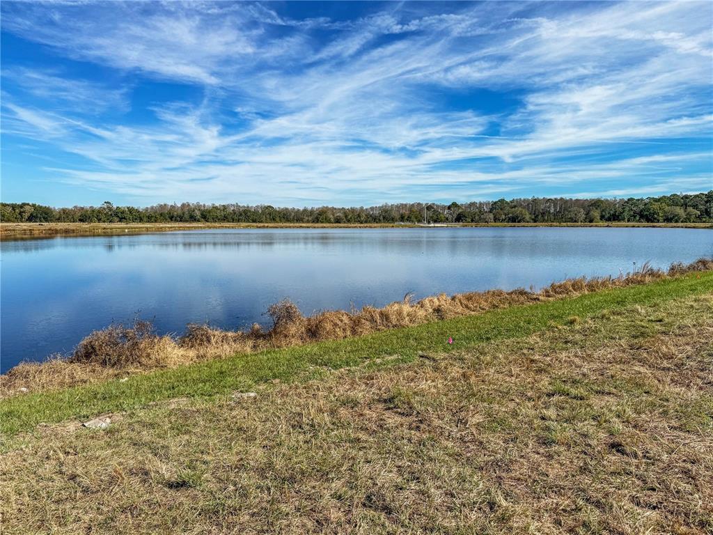 7545 Bent Tree Loop St. Cloud, FL 34773 - Photo 8 of 11 a view of a lake with a city
