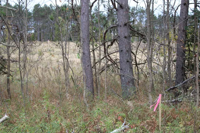 $109,900 | Island Lake Rd Mountain, Unit 1, Mountain, WI 54149