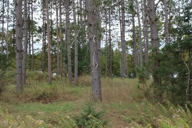 $109,900 | Island Lake Rd Mountain, Unit 1, Mountain, WI 54149