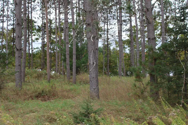 $109,900 | Island Lake Rd Mountain, Unit 1, Mountain, WI 54149