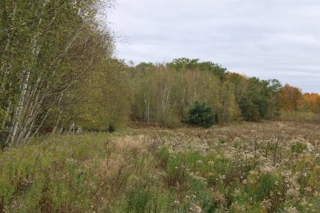 $109,900 | Island Lake Rd Mountain, Unit 1, Mountain, WI 54149