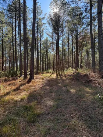 $495,000 | 0 L R L R White Road, McCormick, SC 29835