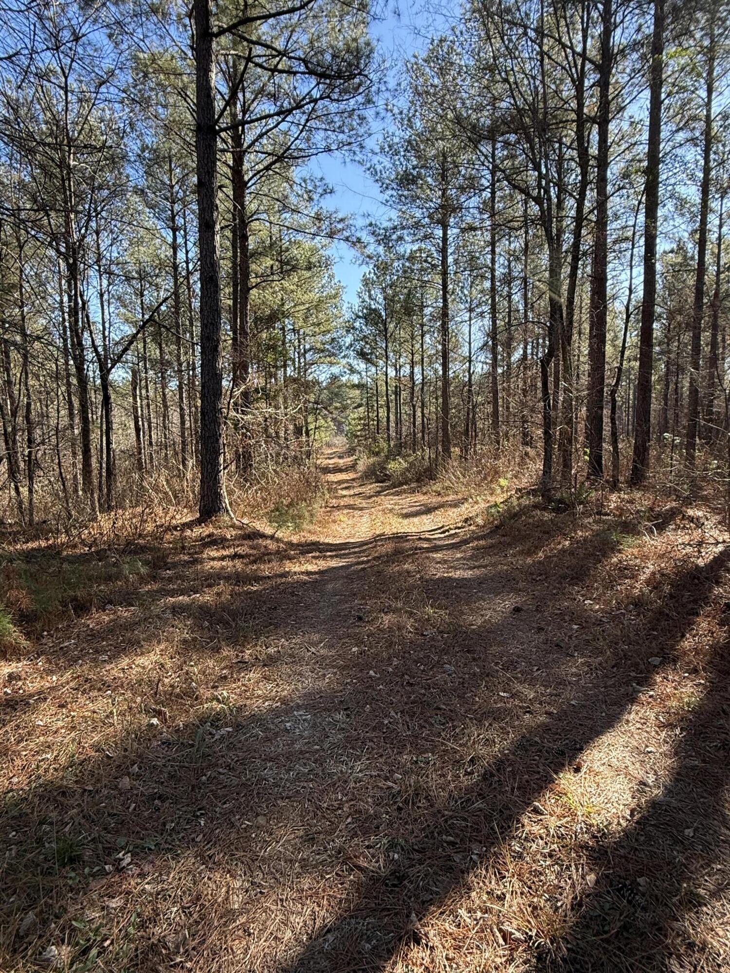 0 L R L R White Road McCormick, SC 29835 - Photo 4 of 7 IMG_9843
