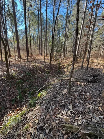 $495,000 | 0 L R L R White Road, McCormick, SC 29835