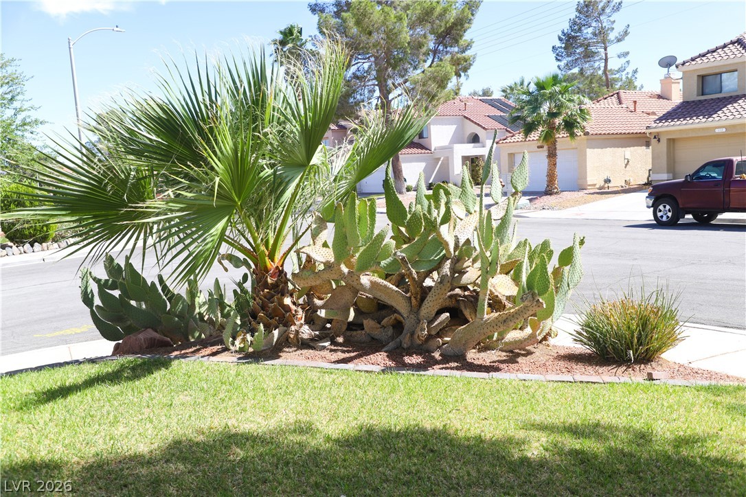 133 Coventry Circle Henderson, NV 89074 - Photo 62 of 99 Desert landscaping.