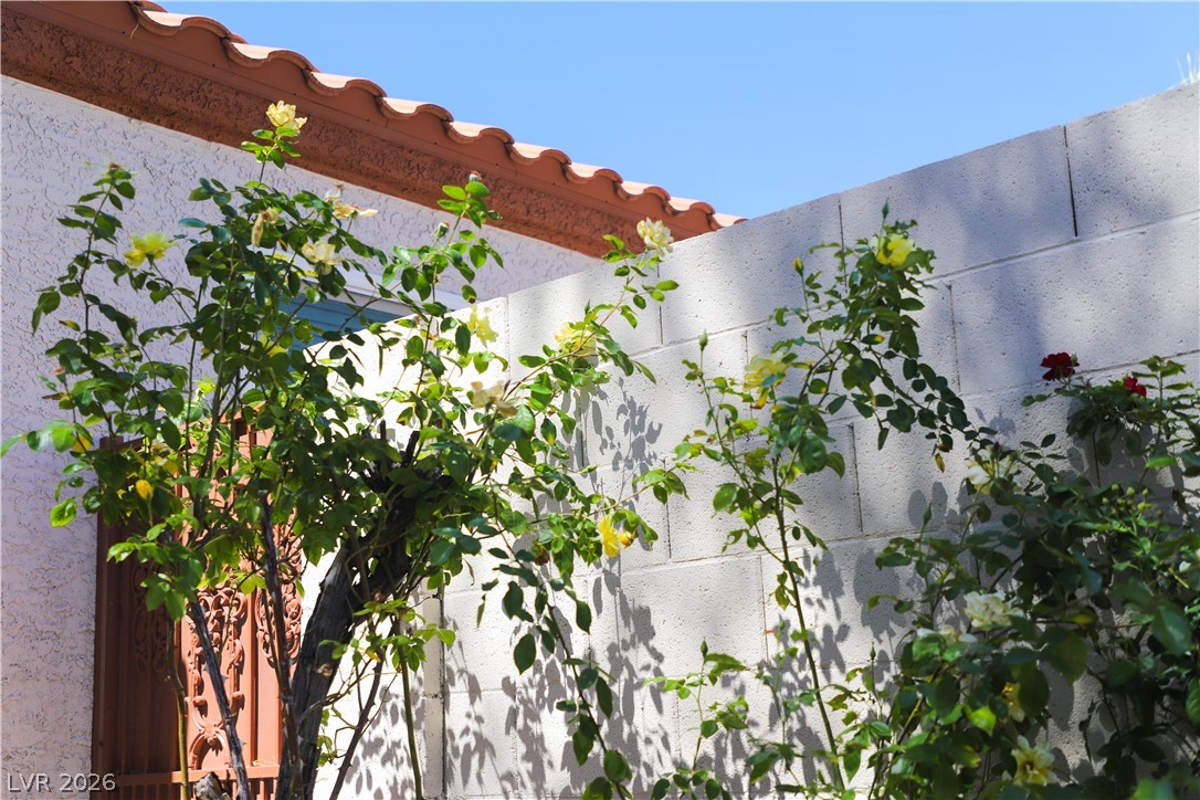 133 Coventry Circle Henderson, NV 89074 - Photo 71 of 99 Front yard access to backyard via gate to right of front entry