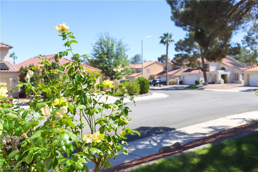 133 Coventry Circle Henderson, NV 89074 - Photo 72 of 99 Front Yard