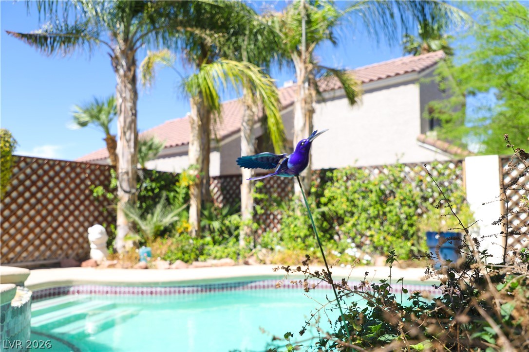 133 Coventry Circle Henderson, NV 89074 - Photo 96 of 99 Pool