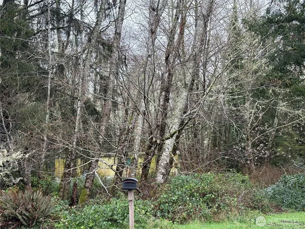 a view of a yard with plants and trees