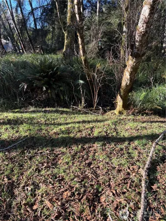 a view of a yard with green space