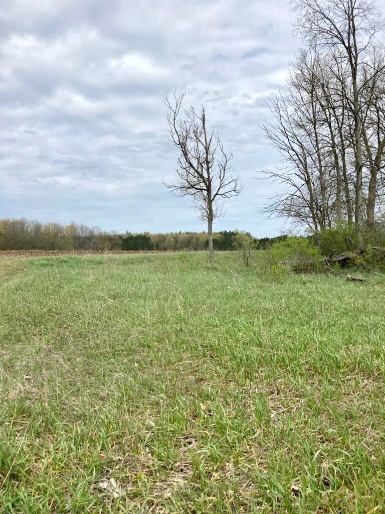 6853 North 7 Road Mesick, MI 49668 - Photo 14 of 15 Gallery Image 14