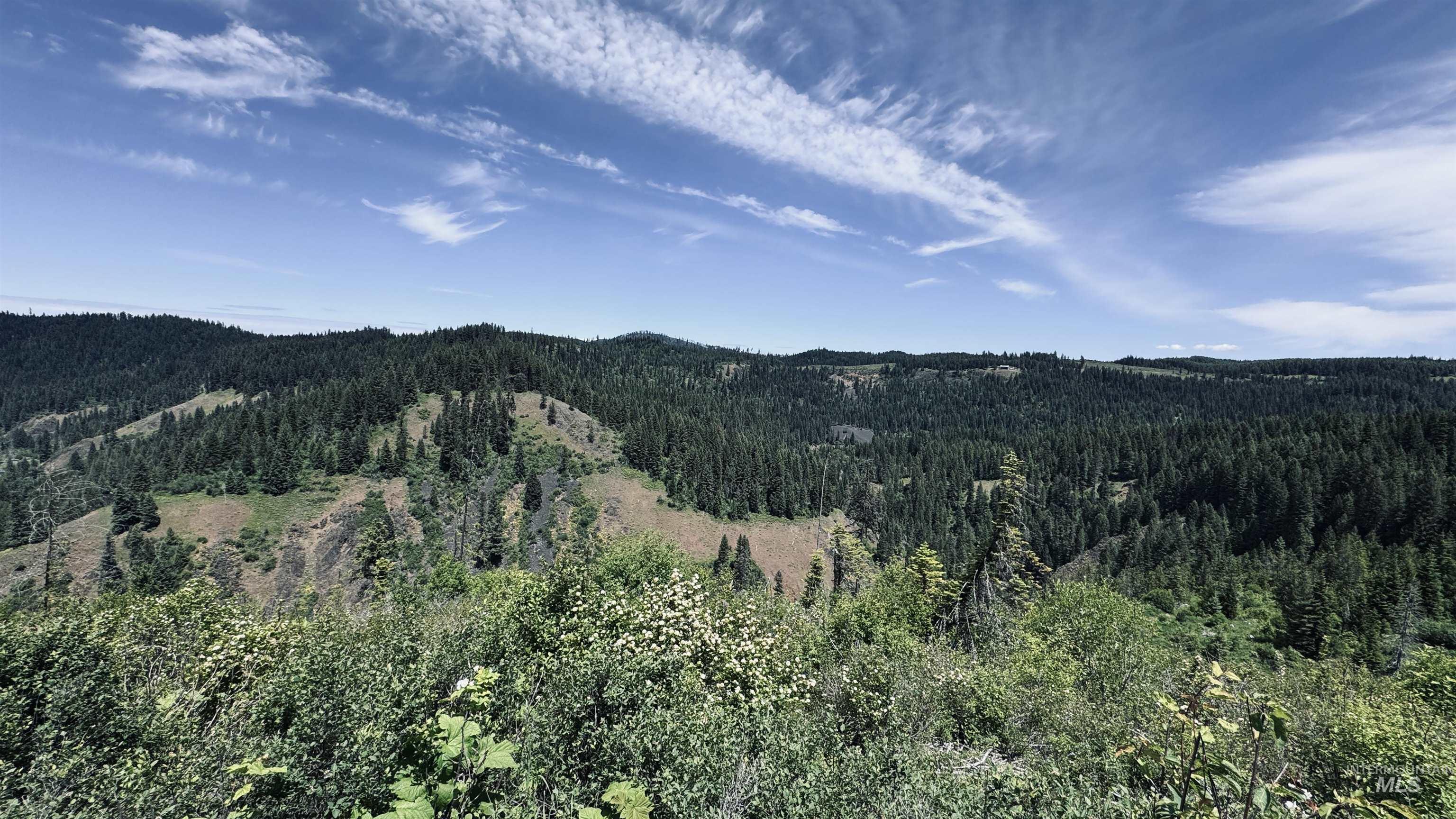 Tbd Glenwood Road Kamiah, ID 83536 - Photo 12 of 50