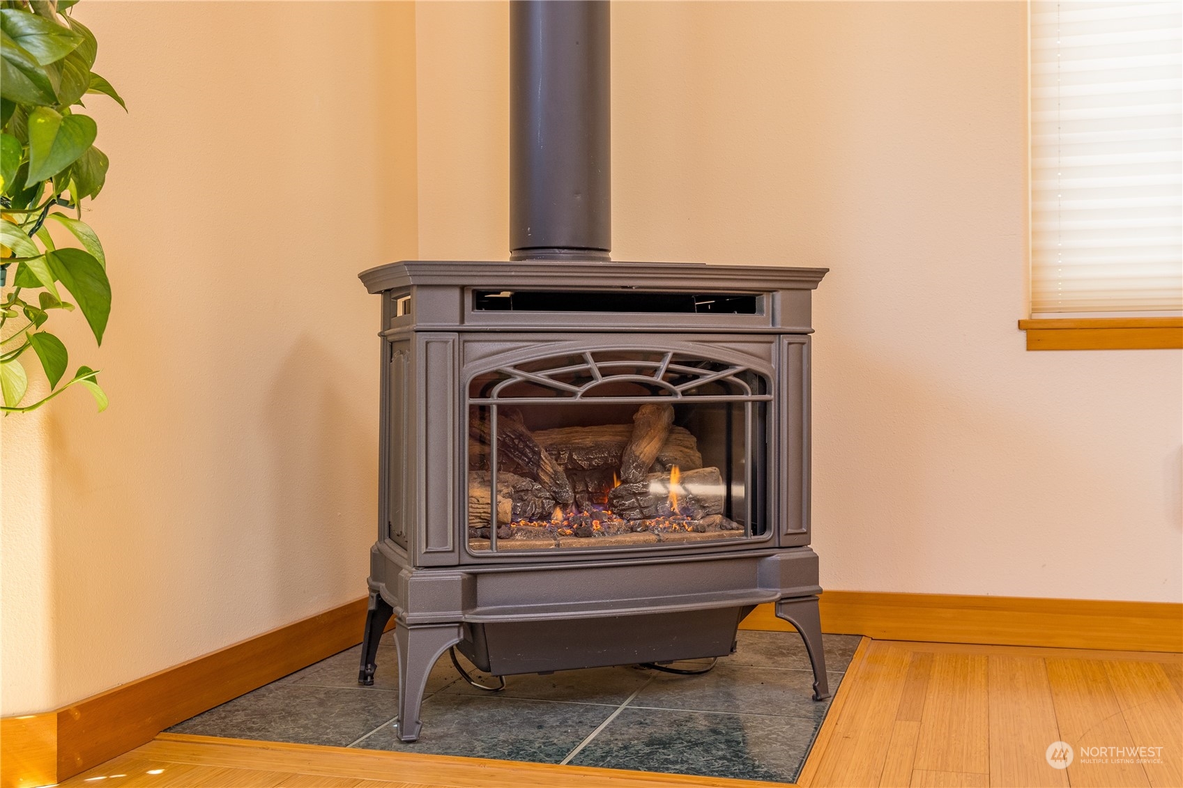 131 Riverside Road Sequim, WA 98382 - Photo 7 of 40 a living room with a fireplace and a wooden floor