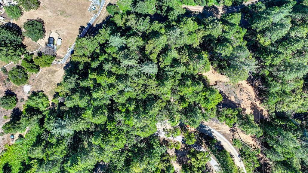 23505 Grand View Way Colfax, CA 95713 - Photo 21 of 32