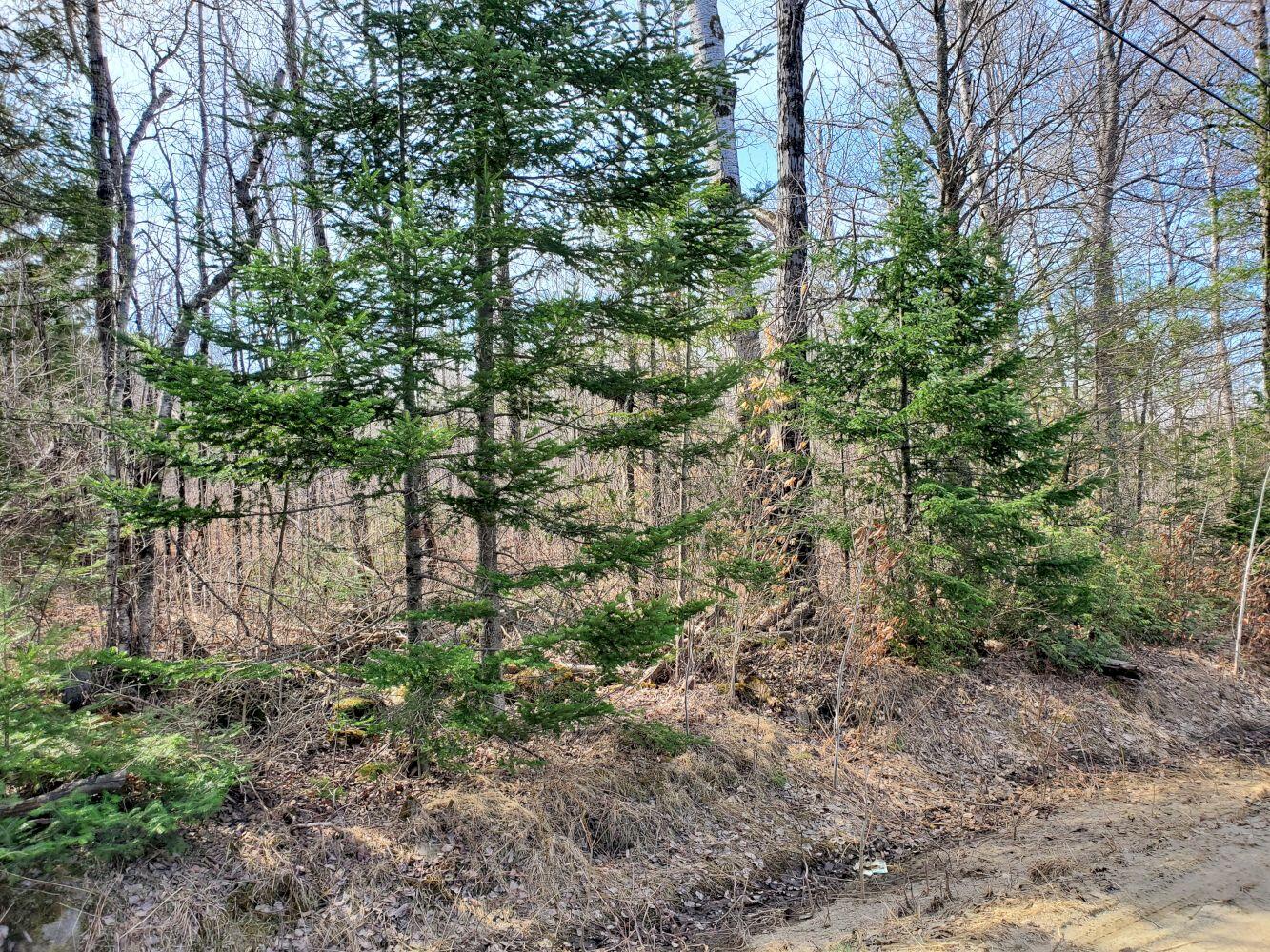 6 Hope Road Newport, ME 04953 - Photo 1 of 13 1