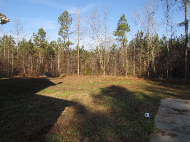 244 Bowman Bare Road Pittsboro, NC 27312 - Photo 21 of 25 Photo 21