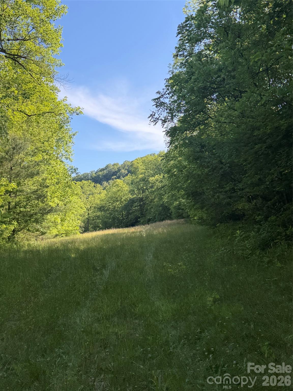 Lot 8 Parker Padgett Road Old Fort, NC 28762 - Photo 6 of 9