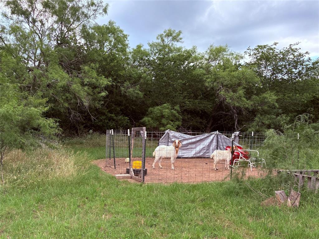 1117 North Tiffin Road Ranger, TX 76470 - Photo 18 of 40
