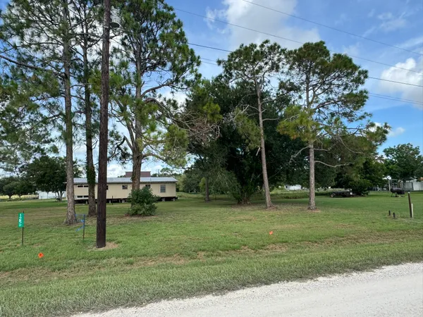 a view of a park with large trees