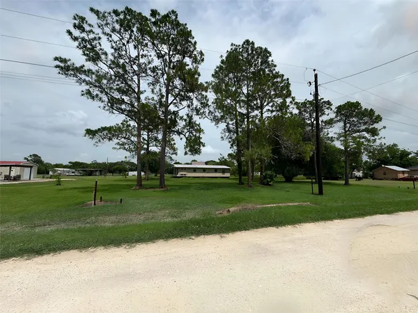 a view of a park with large trees