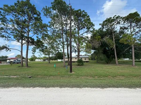 a view of a park with large trees