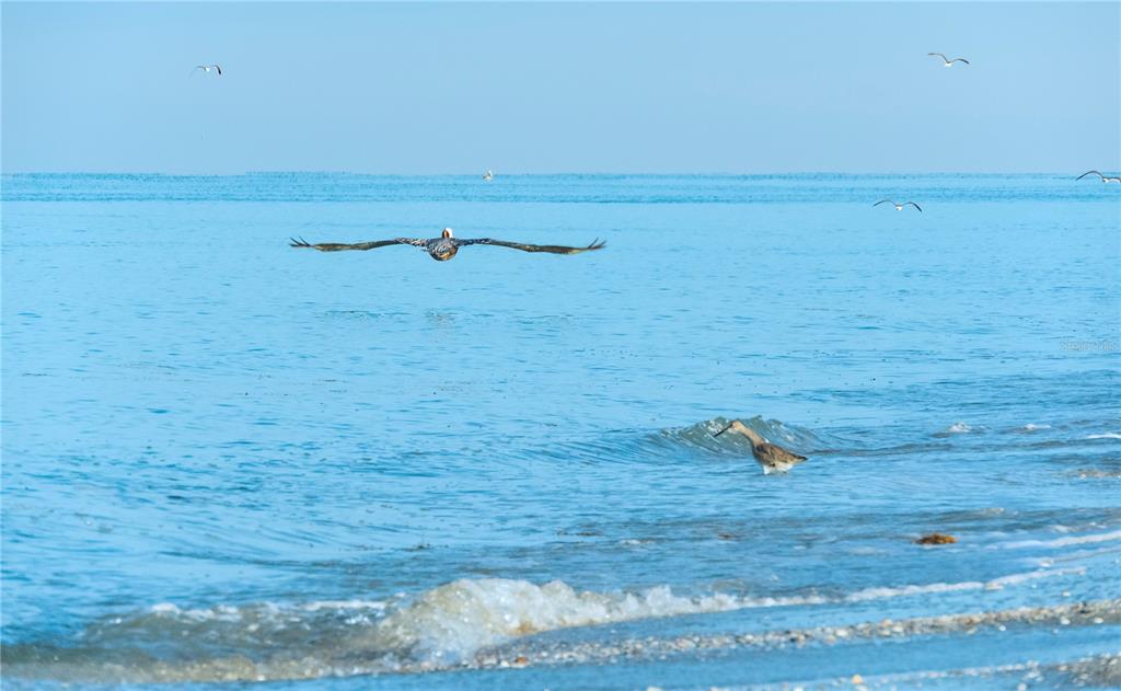 2255 North Beach Road, Unit 20 Englewood, FL 34223 - Photo 48 of 50 a view of a lake view