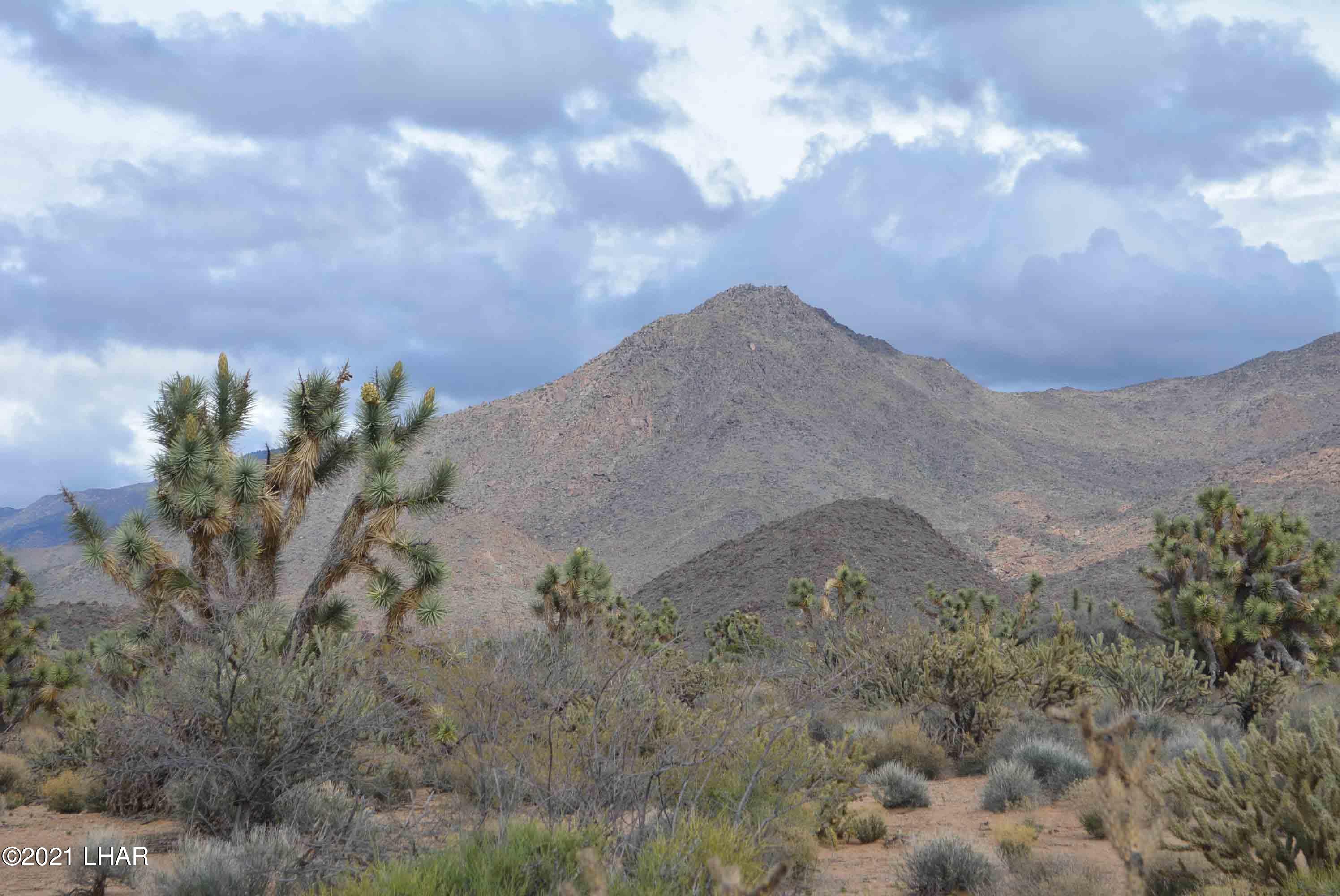 2694 East Rimrock Drive Yucca, AZ 86438 - Photo 1 of 27 DSC_0584
